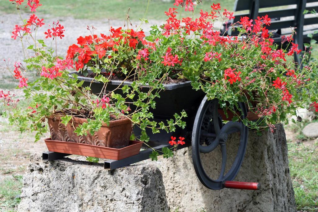 Agriturismo Due Ponti Chianni Dış mekan fotoğraf
